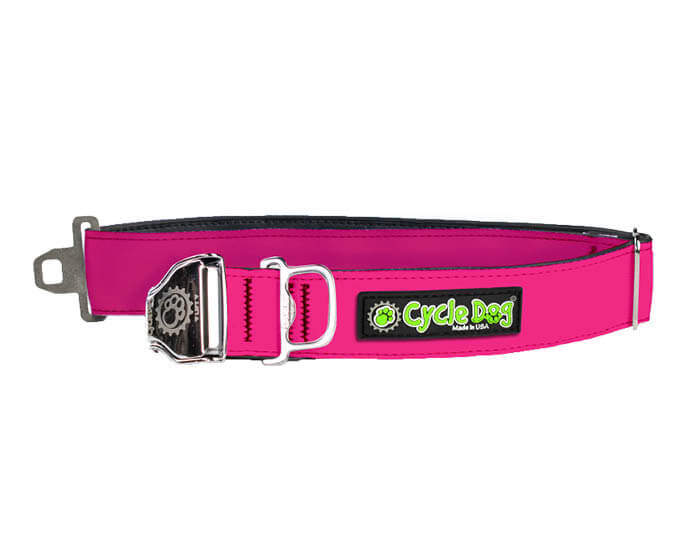 Solid Hot Pink Dog Collar
