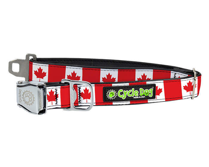 Canada Dog Collar