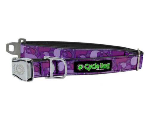 Purple Lava Lamp Dog Collar