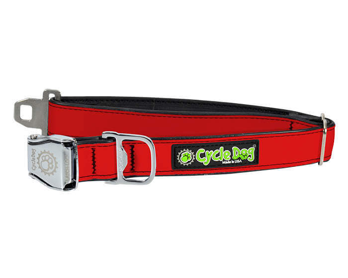 Solid Red Dog Collar
