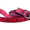 Small Ecoweave-Red Tri-Style Dog Leash