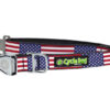 USA Stars & Stripes Dog Collar