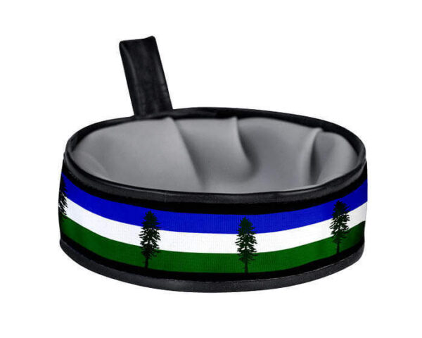 Bowls-Cascadia-700x560px - Cycle Dog-Earth Friendly Pet Company Trail Buddy Collapsible Dog Travel Bowl - Cascadia Flag