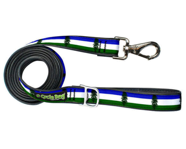 Cascadia Dog Leash