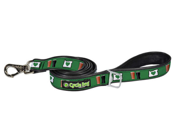 Oregon-Love Dog Leash
