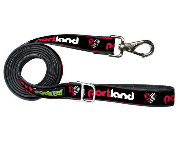 Portland Retro Dog Leash