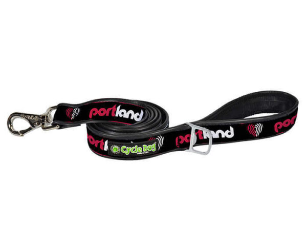 Portland Retro Dog Leash
