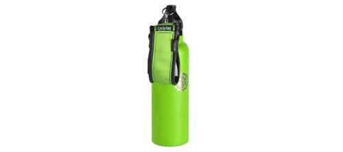 Stainless Water Bottle-Dog Travel Bowl Combo-Green