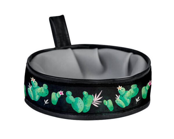 Cactus Dog Bowl