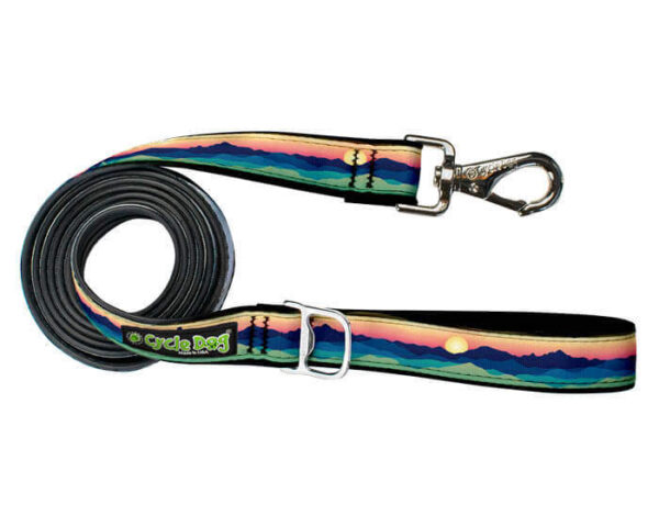Eagle Sunrise Dog Leash