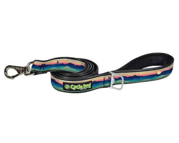 Eagle Sunrise Dog Leash