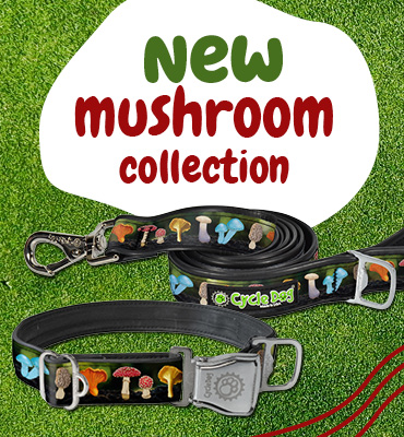 New Mushroom Collection