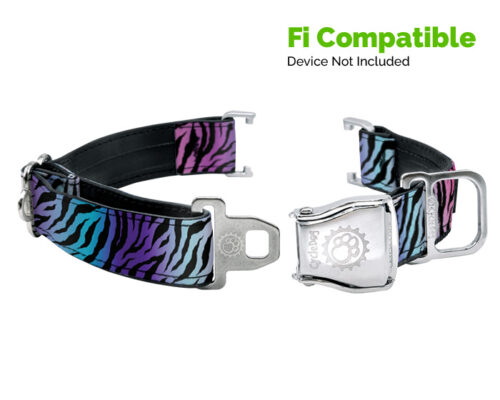Fi Compatible Zebra Dog Collar