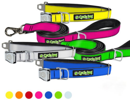 collection of leashes by cycle dog