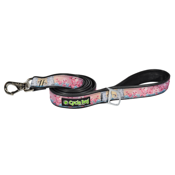 Cherry Bloosm-Leash