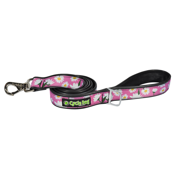 Dasiy Leash