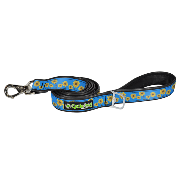 Dog Leash blue sunflowers