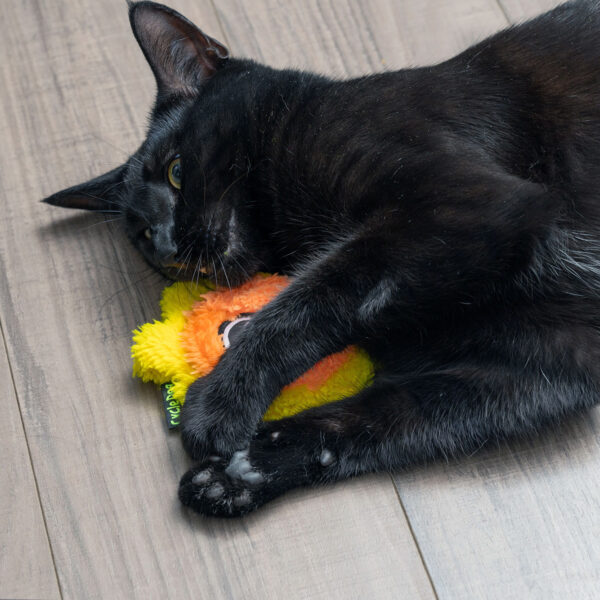 Duraplush Cat Toys by Cycle Dog