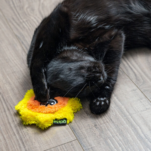 Duraplush Cat Toys by Cycle Dog