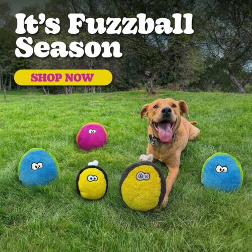 Dog running on a green lawn with colorful fuzzy balls; bold banner reads It's Fuzzzball Season and a yellow Shop Now button appears on top.