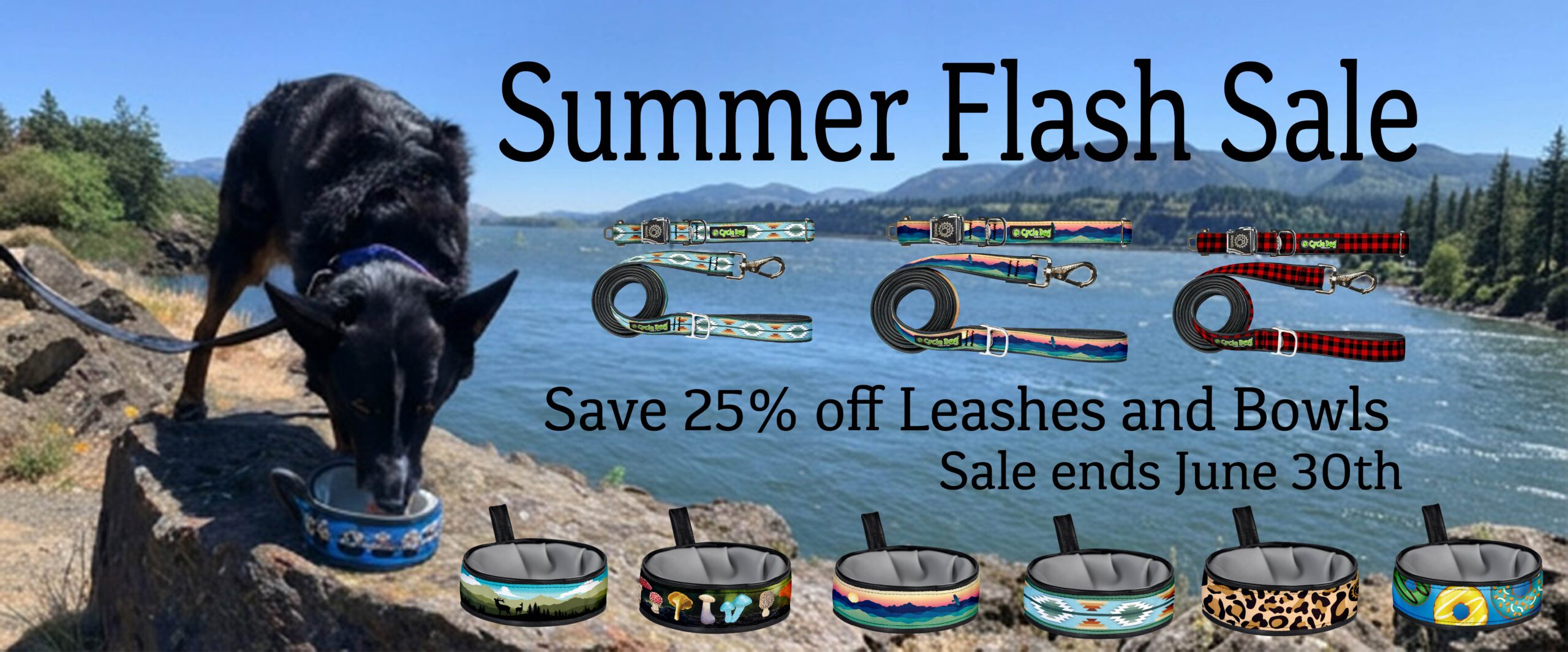 Summer Flash Sale banner advertising dog leashes and bowls by a lakeside with sale text and end date June 30th.