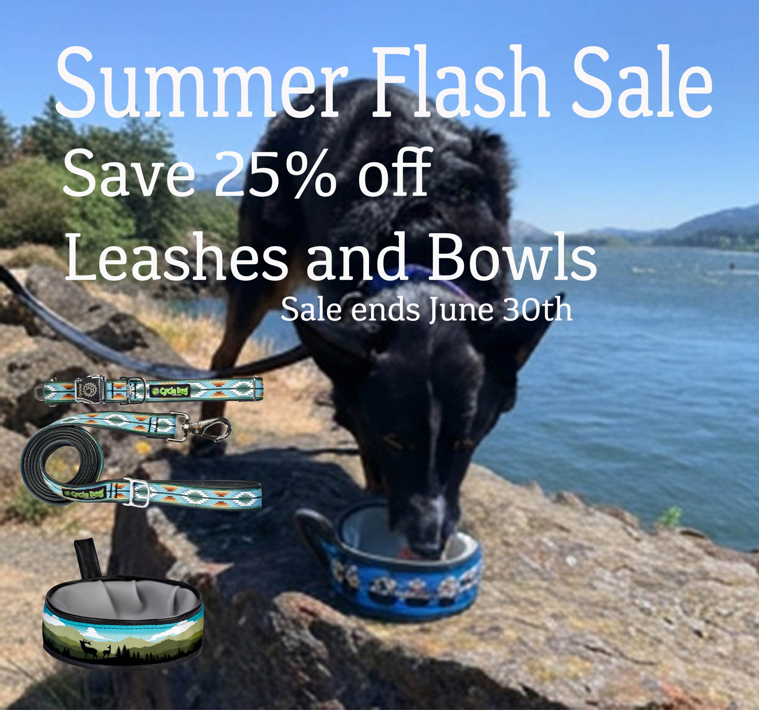 Promotional banner with a black dog on a rocky shore; large text reads "Summer Flash Sale" and "Save 25% off Leashes and Bowls".